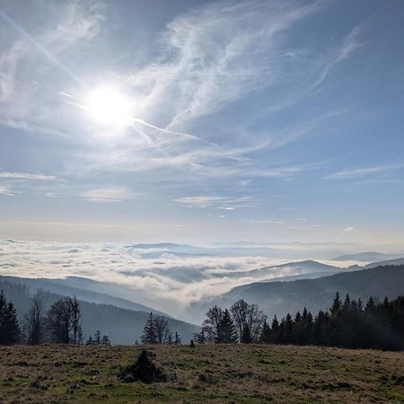 Glatzl Trahuetten Alm Sankt Lorenzen am Wechsel Exterior foto